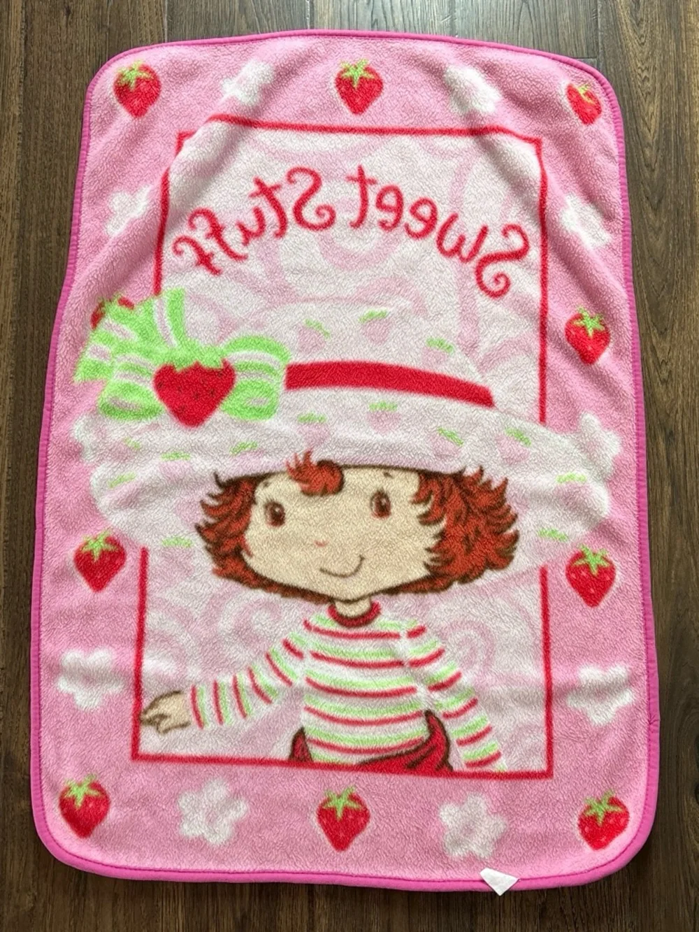 VTG Y2K 2005 Strawberry Shortcake 